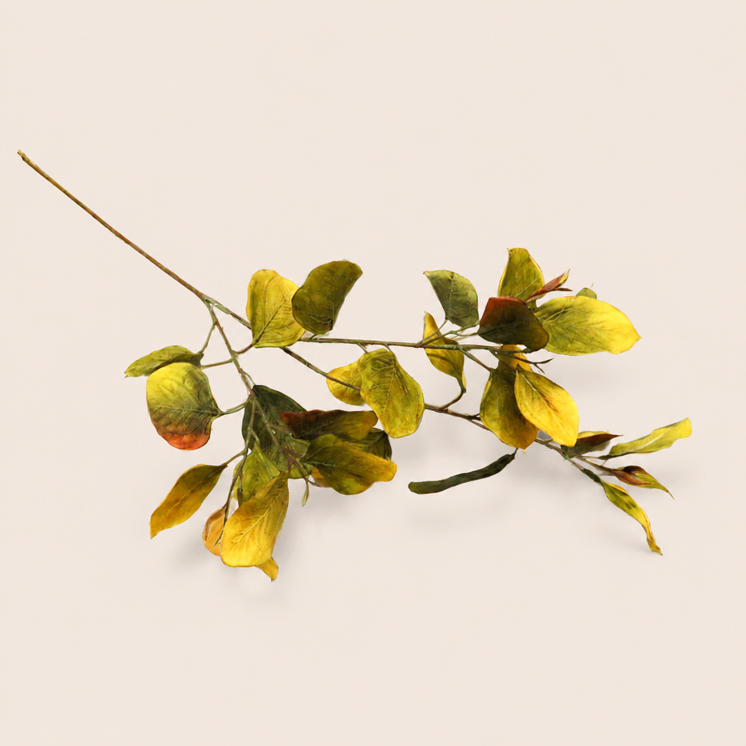 Eucalyptus Chartreuse — catalogue product image