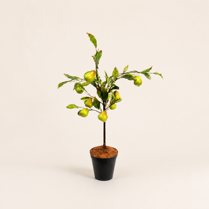 Fantasy pear tree - catalogue