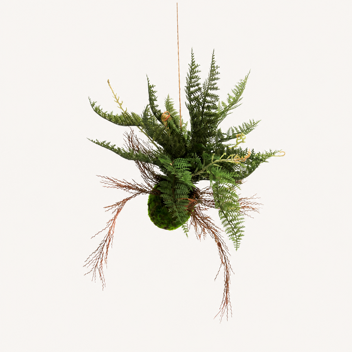Fern ball Majesty — catalogue product image