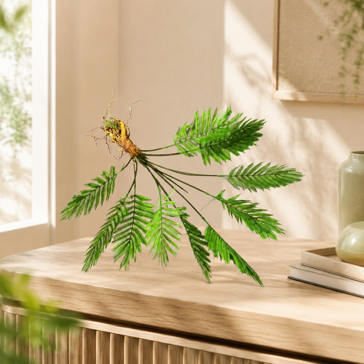 Fern Fanclub Rooted lifestyle view