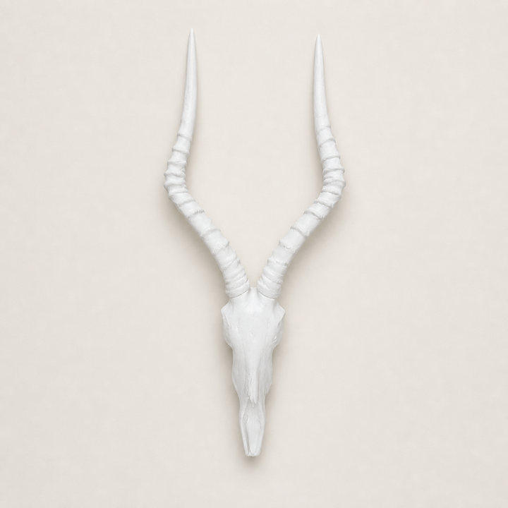 Impala Resin Cement Head — catalogue product image