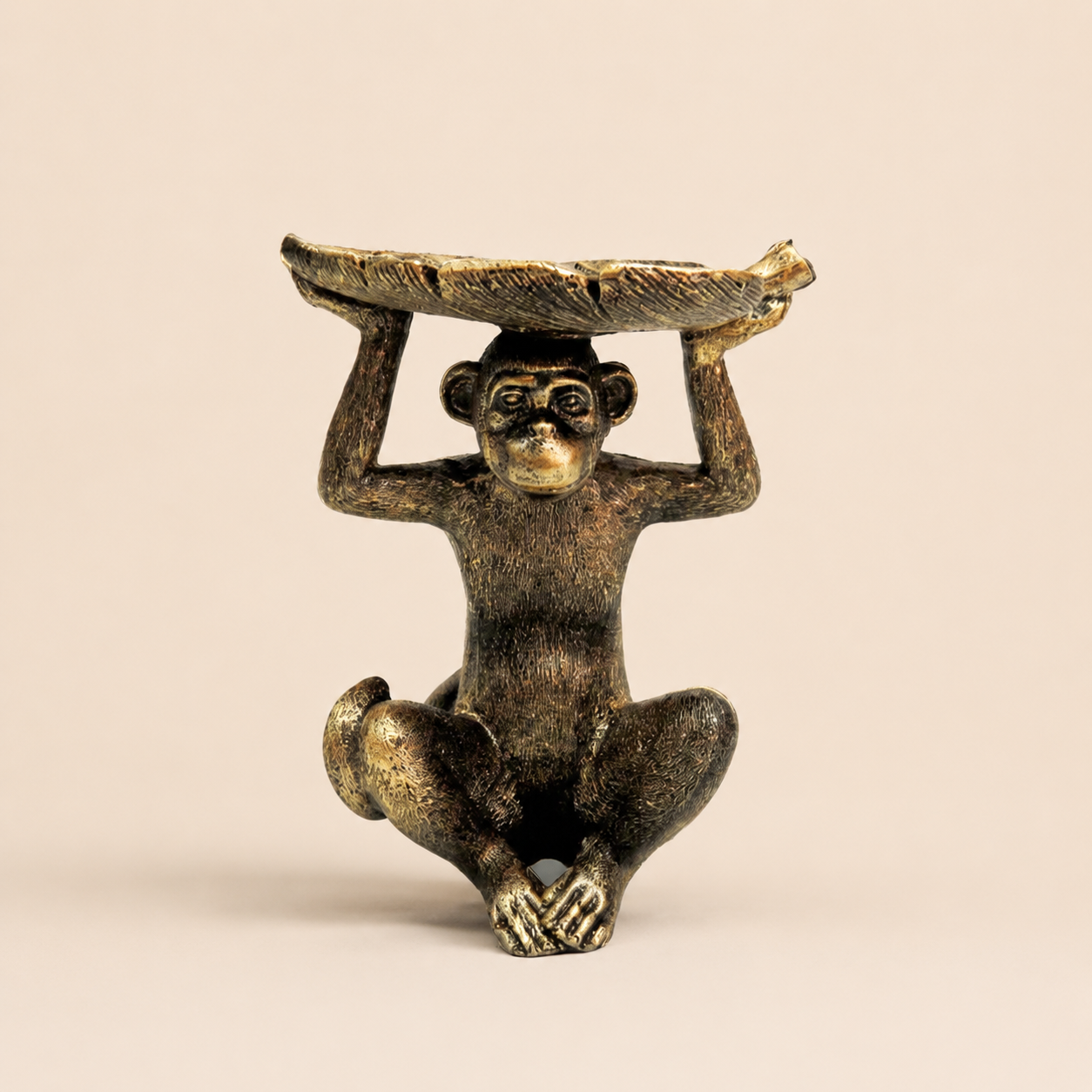 Monkey Koko catalogue view