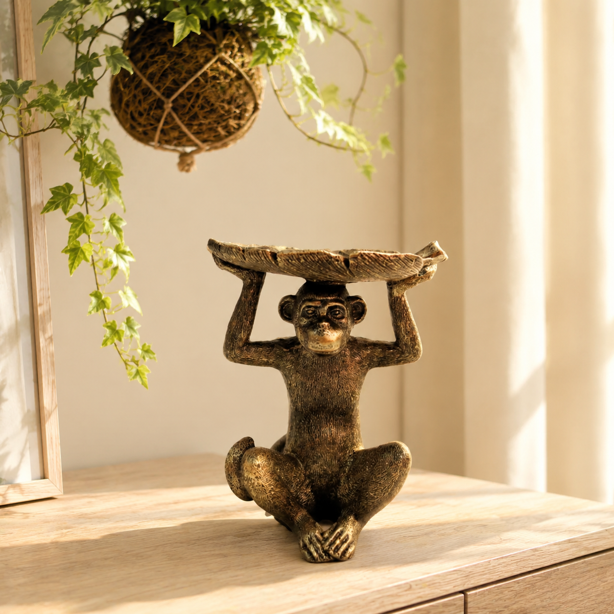 Monkey Koko lifestyle view