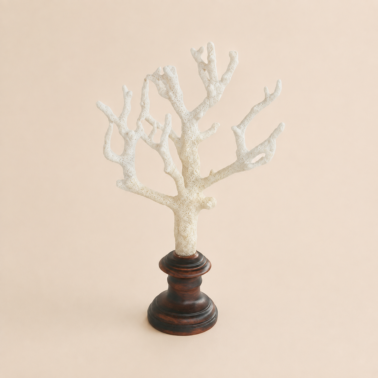 NATURAL CORAL ON STAND 36X21CM catalogue view
