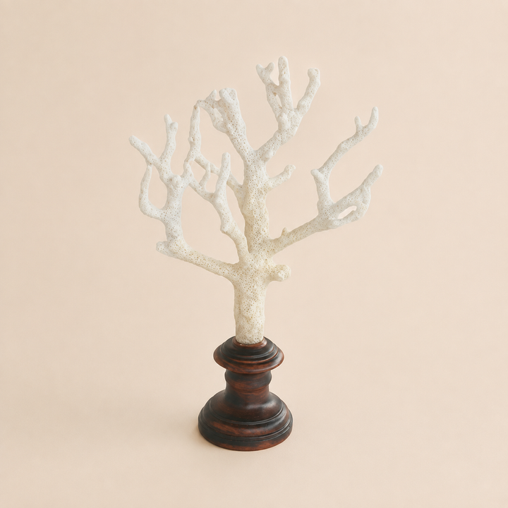 NATURAL CORAL ON STAND 36X21CM catalogue view