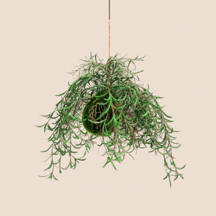 Nuclea Growth Ball catalogue view
