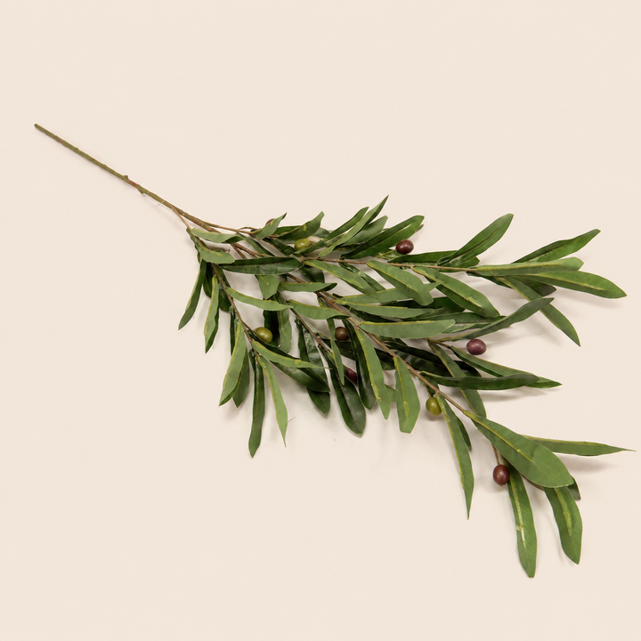 Olive Stem With Fruit – catalogue view