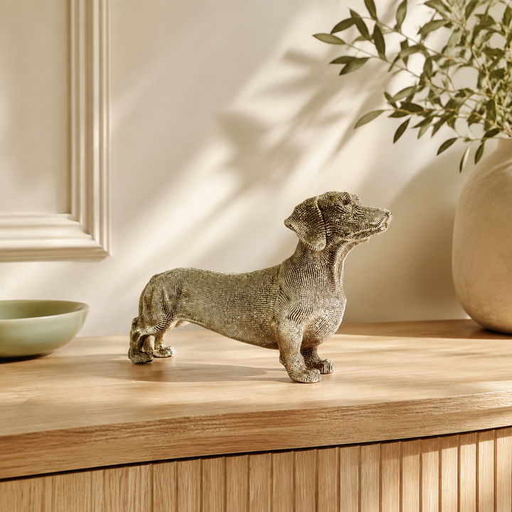 Coco Sausage Dog lifestyle view