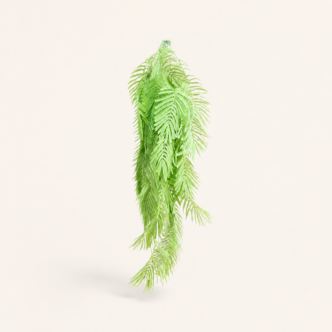 Palmfern atlantis - catalogue