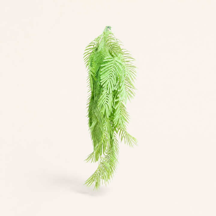 Palmfern atlantis - catalogue