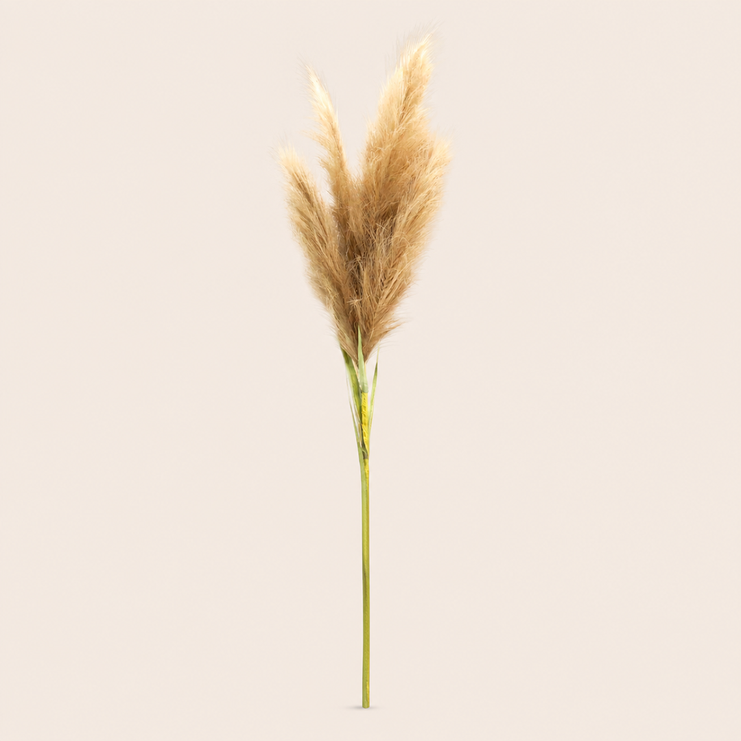 Pampas Mega — catalogue image