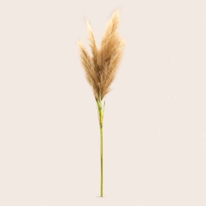 Pampas Mega — catalogue image