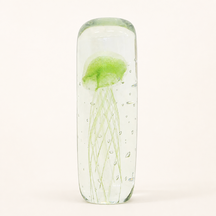 Paperweight jellyfish cylinder mint 18cm catalogue