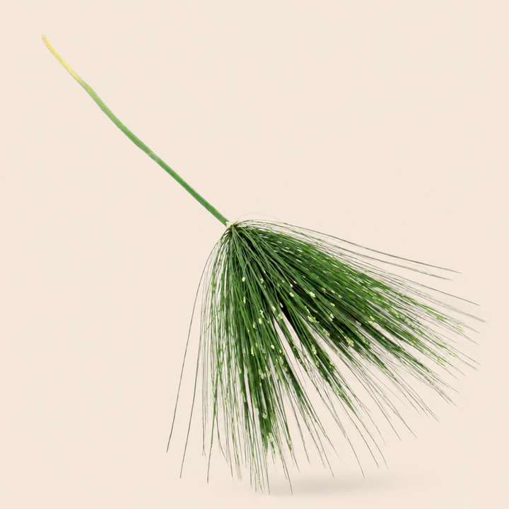 Papyrus Stem catalogue view