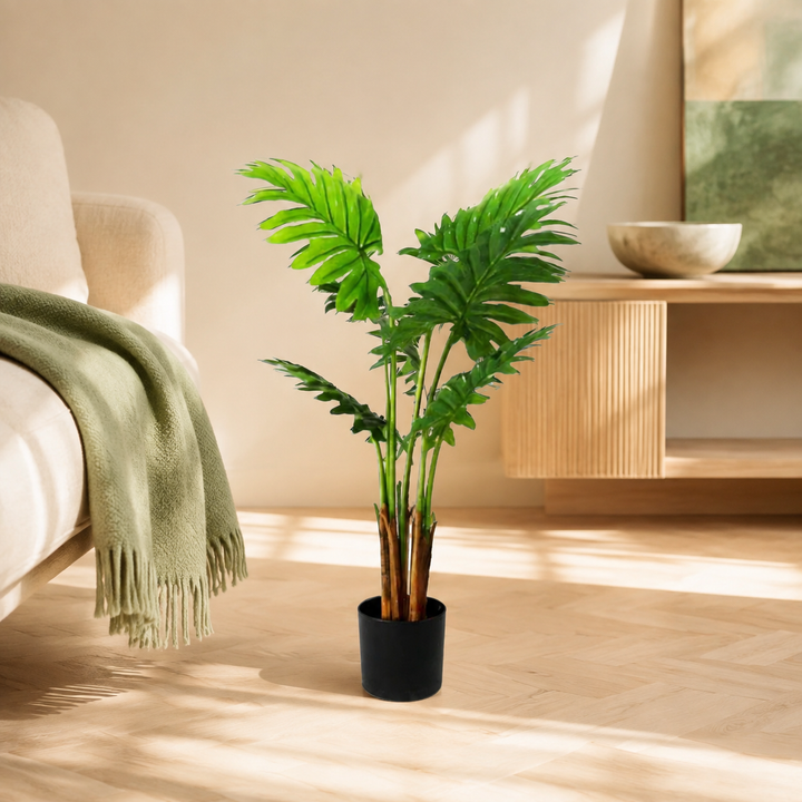 Philodendron Maywood lifestyle view