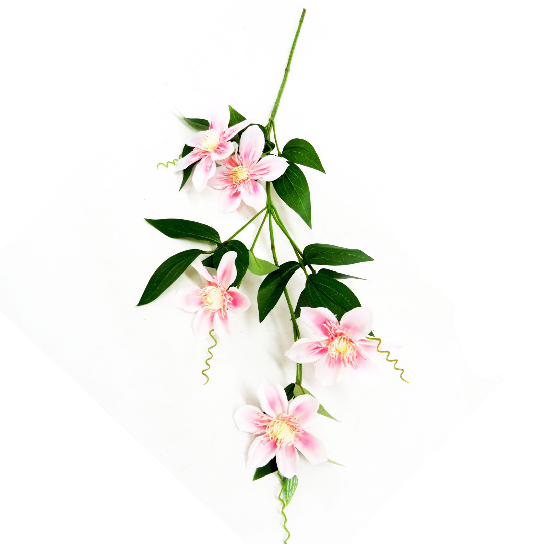 Clematis Soft Pink
Delicate Artificial Flower
Adorn your space with the beautiful Clematis Soft Pink. This stunning artificial flower features:
Lovely soft pink blooms
Realistic green leaves
Perfectly crafted stem