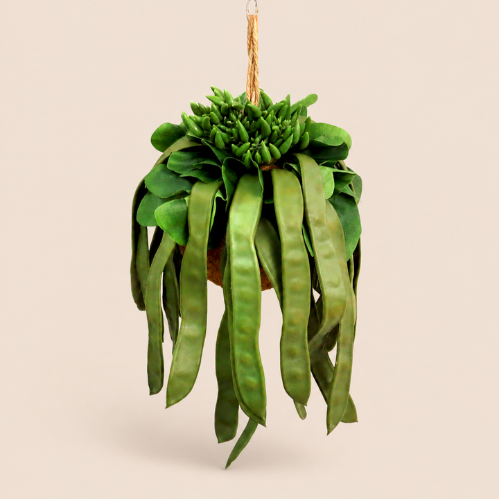 Pod Plant Ball catalogue view