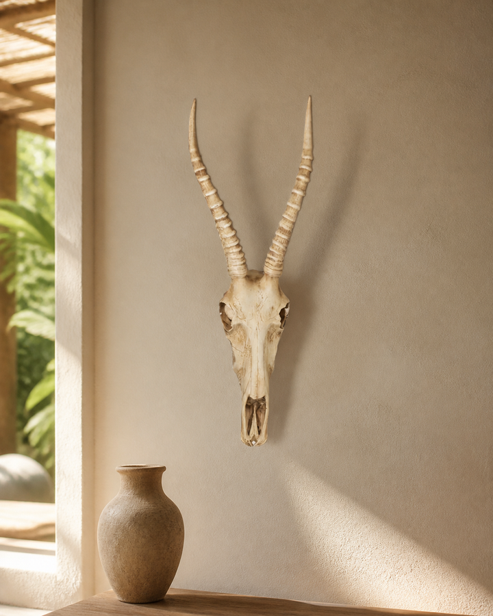 Resin cement Nyala Skull hanging on wall — luxury lifestyle image