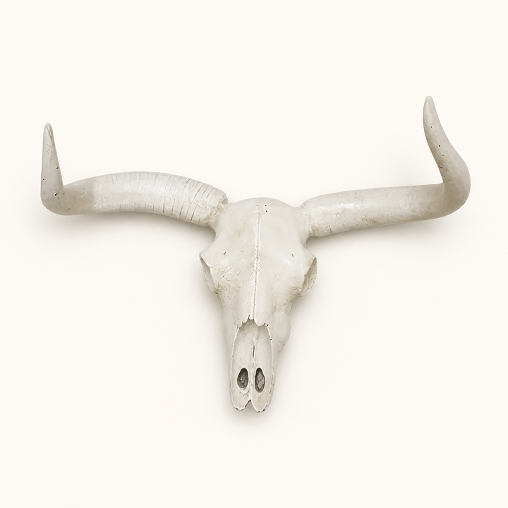 Resin Cement Skull Head — catalogue product image