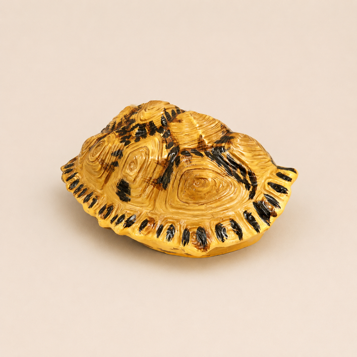 Shyman Tortoise catalogue view