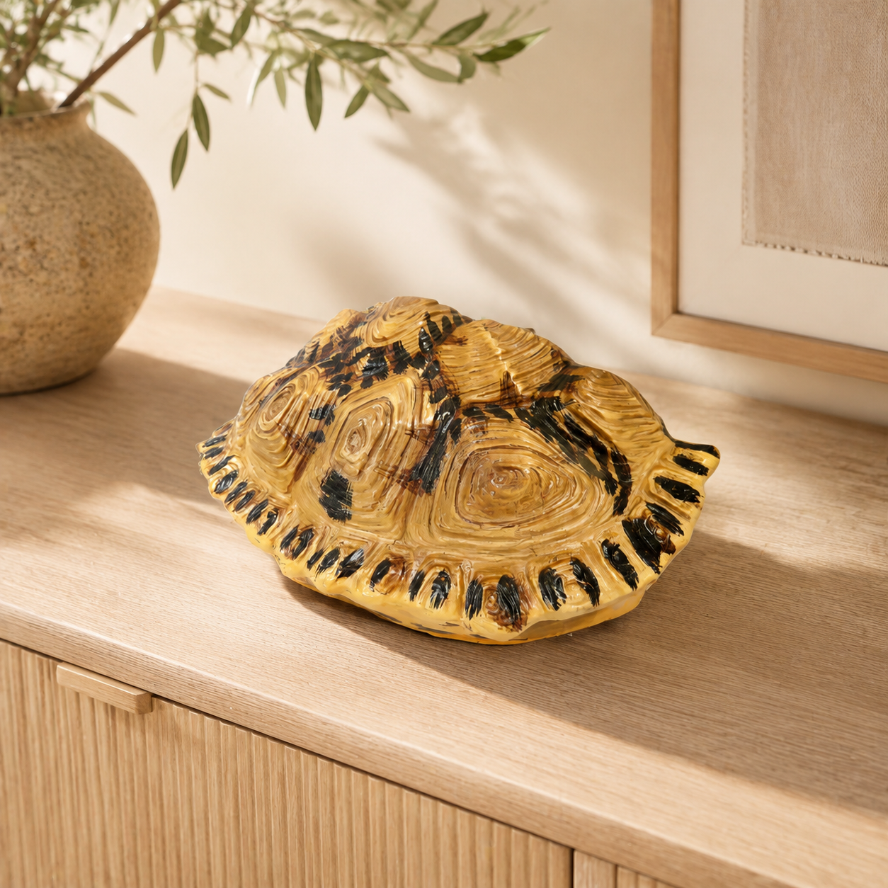 Shyman Tortoise lifestyle view