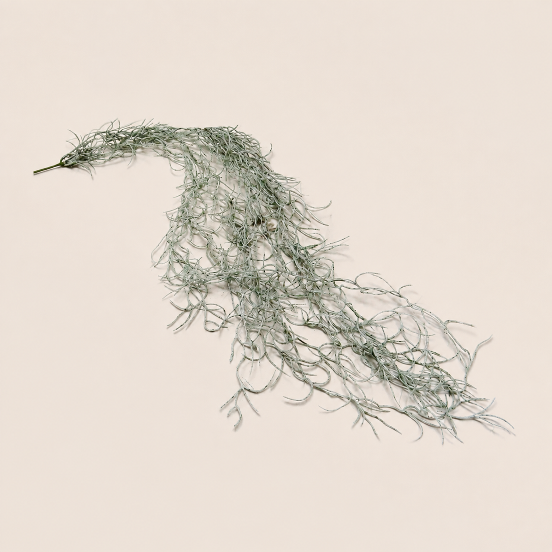 Spanish Moss catalogue view