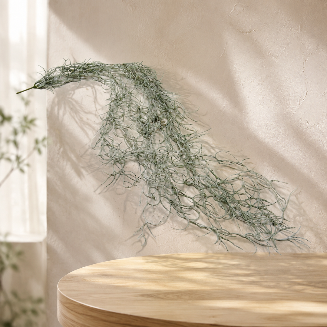 Spanish Moss lifestyle view