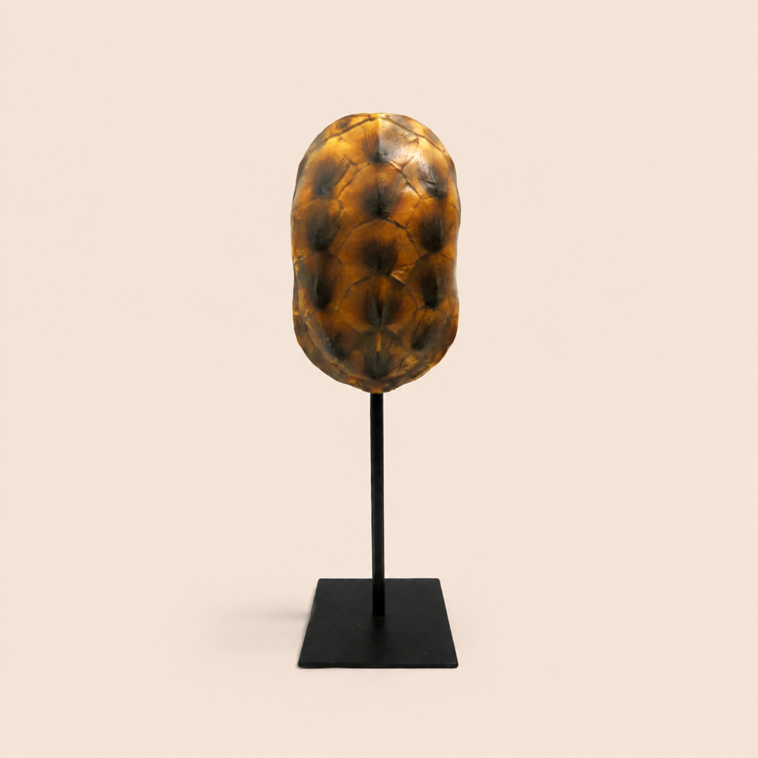 Spot On catalogue view