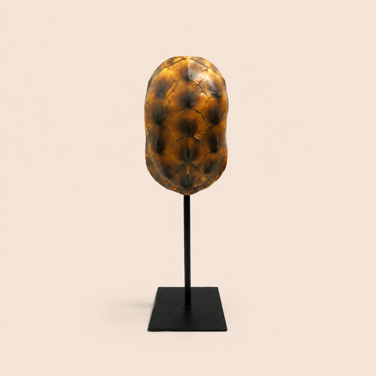 Spot On catalogue view