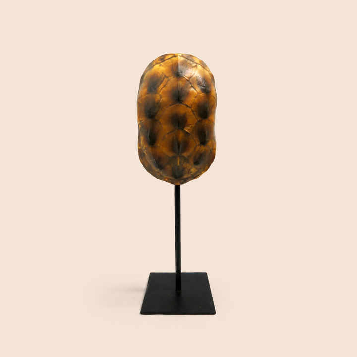 Spot On catalogue view