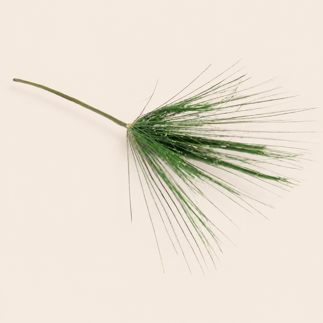 Umbrella Grass Stem — catalogue product image