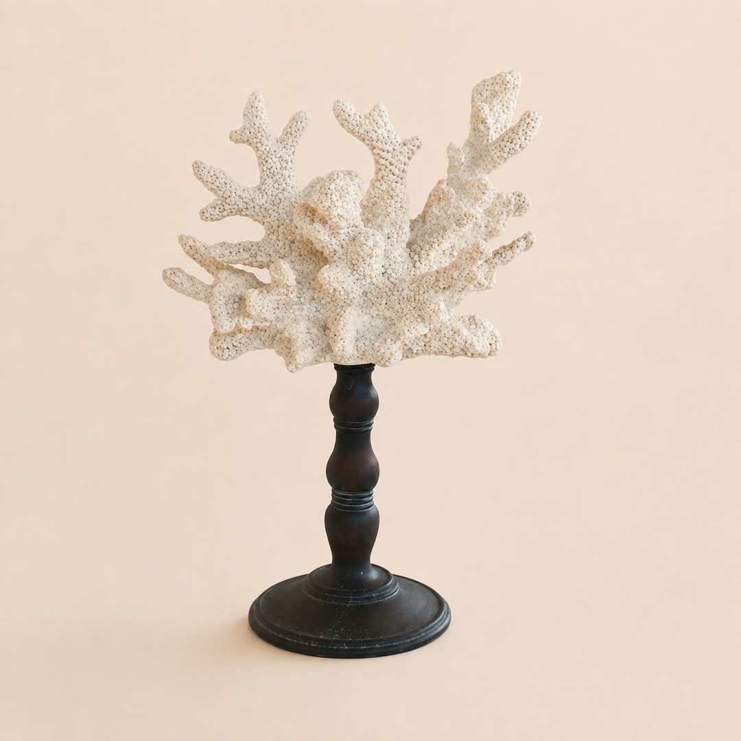 WHITE CORAL ON STAND 33X21CM catalogue view