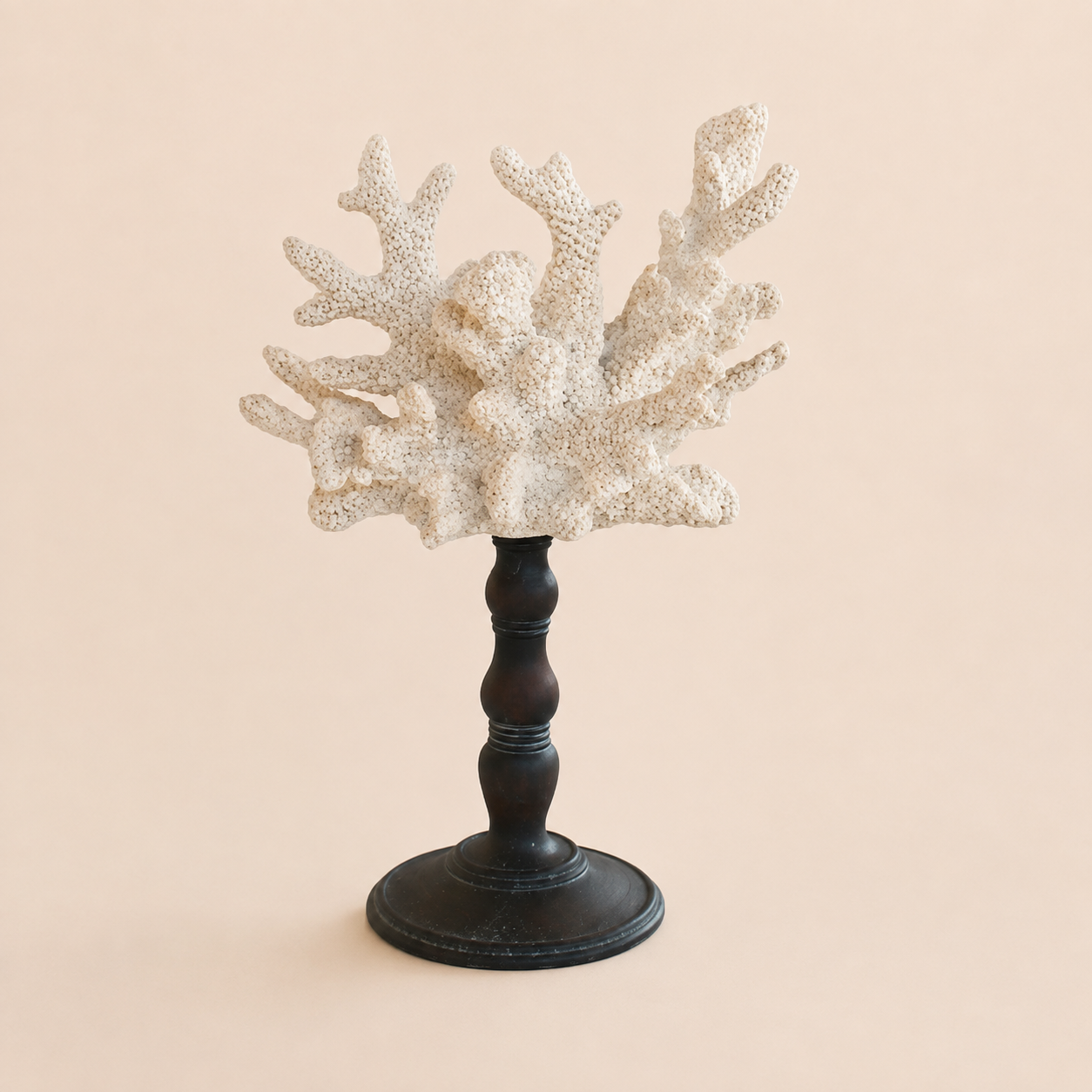 WHITE CORAL ON STAND 33X21CM catalogue view