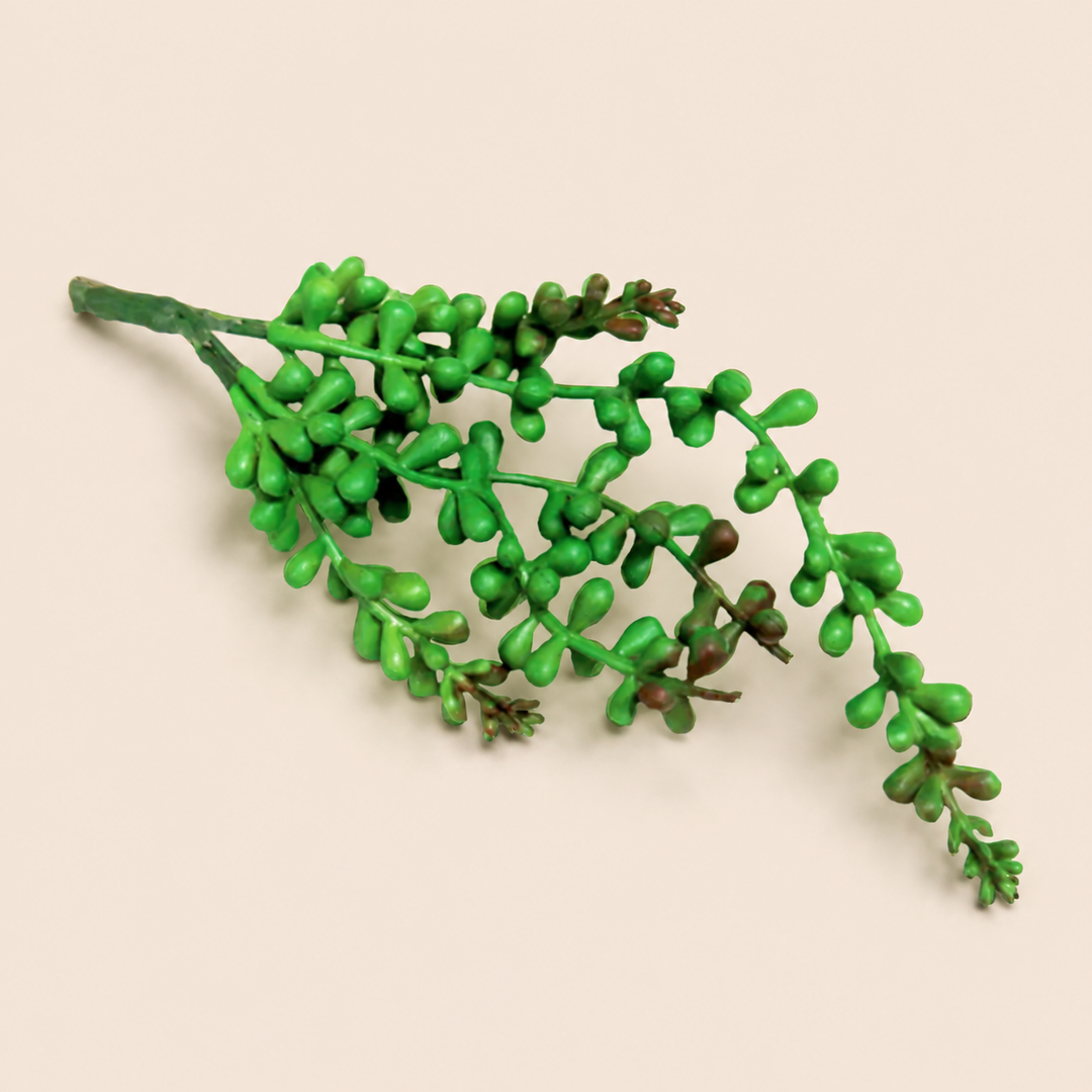Wildberrybunch Fall — catalogue product image