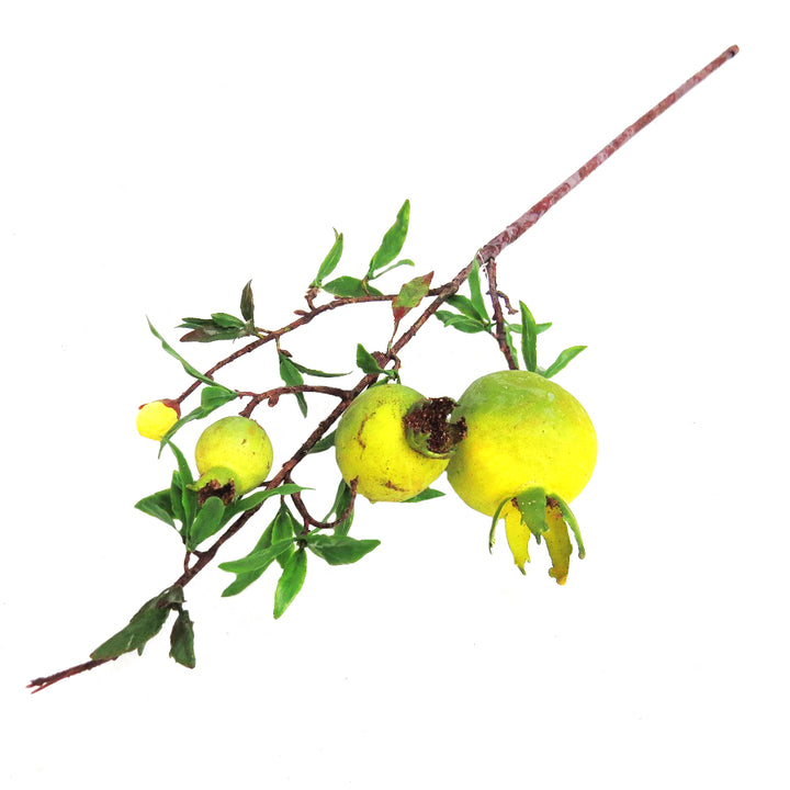 Product Description: Pomegranate Green Branch
Add a touch of natural elegance to your space with this beautiful branch of green pomegranates. Featuring a well-shaped fruit stem with leaves, this decorative piece showcases four pomegranates in various stages of growth