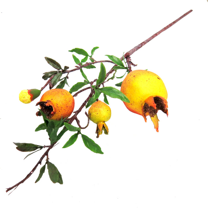 Product Description: Pomegranate Red
Add a pop of color to your space with this stunning artificial Pomegranate Red stem. Featuring a variety of sizes, including a large, medium, small, and developing bud, this decorative accent is perfect for any home or office.
Key Features
Vibrant Colors: Deep, rich red hues add a touch of elegance.
Realistic Appearance: Artificial stem with intricate details.
Versatile: Suitable for any style or theme.
Uses
Home Decor: Add a splash of color to your living room, bedroom,