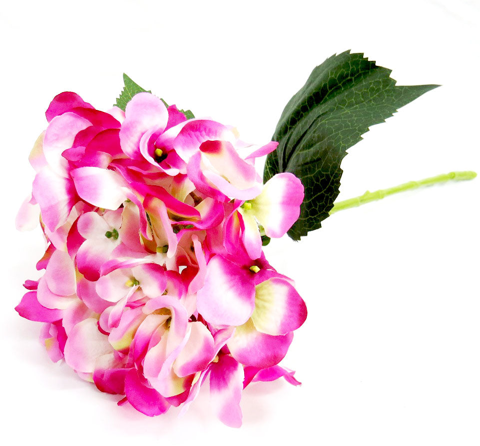 Hydrangea Raspberry Ripple by Unique Boys
Add a pop of color and vibrancy to your space with our stunning Hydrangea Raspberry Ripple artificial flowers.
Breathtaking Details