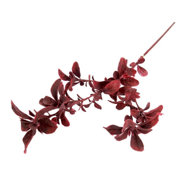 Product Details: Plumwine Spray
Description
Add a touch of elegance to your floral arrangements with our stunning Plumwine Spray. This artificial pittosporum spray boasts delicate, wine-hued leaves that create a beautiful, eye-catching aesthetic.