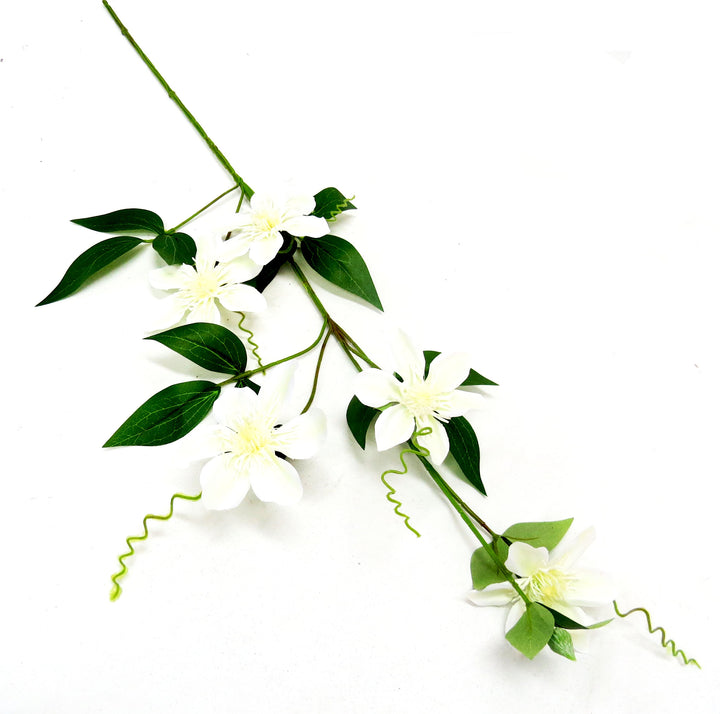 Unique Boys
Clematis Passionata
Exquisite Artificial Vine
Elevate your décor with the breathtaking Clematis Passionata. This stunning artificial vine boasts:
Pristine white blooms
Vibrant bright green foliage
Realistic, elegant design