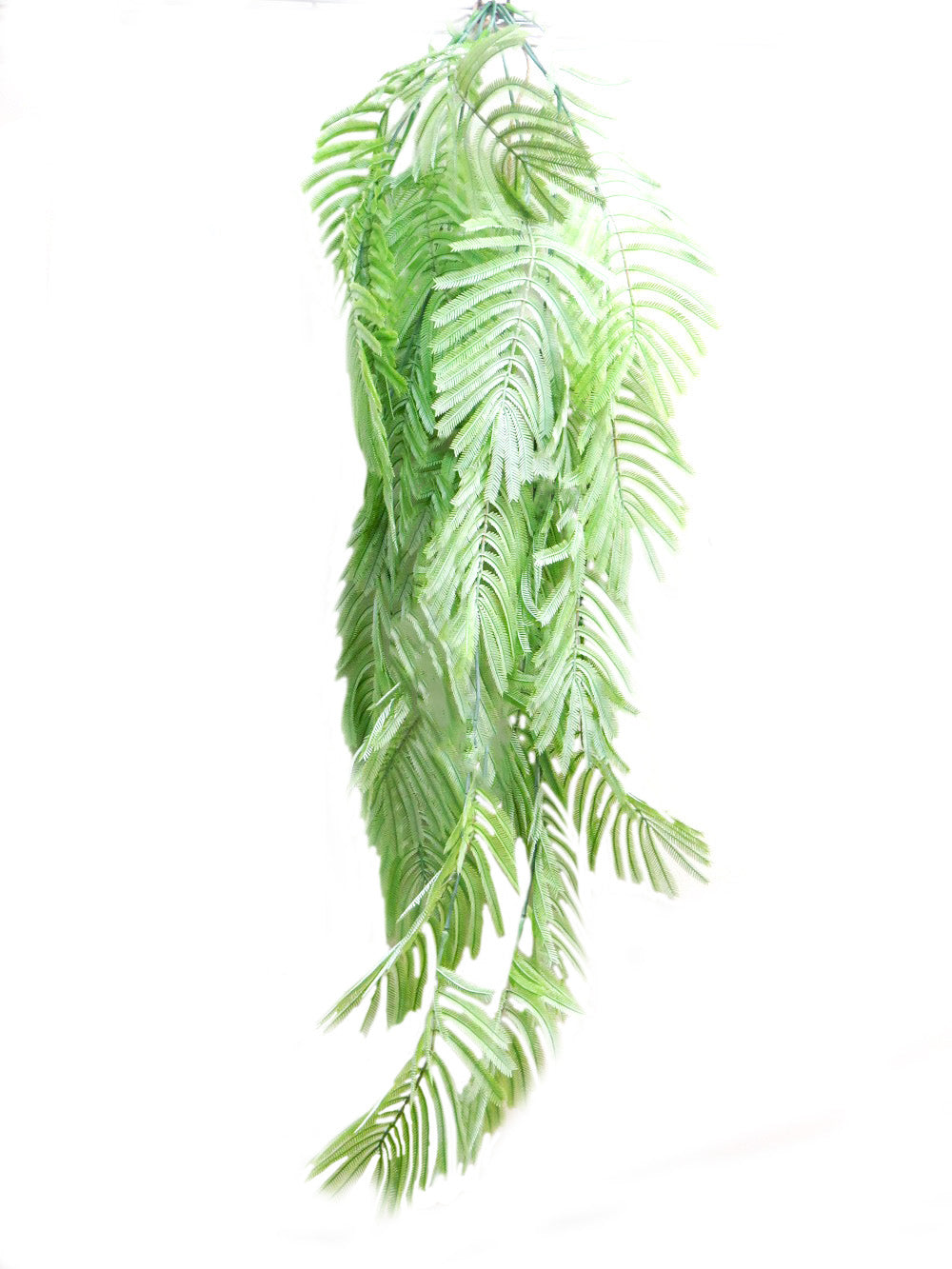Palmfern Atlantis
Transform your space with the breathtaking Palmfern Atlantis!
Key Features:
Cascading Fern: 6 main stems with numerous side stems create a lush, draping effect
Realistic Leaves: Elongated, giant fern leaves mimic the beauty of nature
Durable Construction: Extremely well-constructed stems ensure a long-lasting display
Exotic Rainforest Look: Adds a touch of tropical elegance to any room