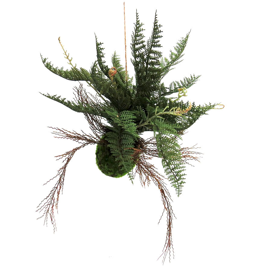 Fern Ball - Bring Nature Indoors!
Introducing the Fern Ball, a stunning artificial plant that brings a touch of nature to your home!
Dense mossy-green ball with numerous roots and branches in various stages of development
Unique and realistic design that adds natural beauty to any interior
Perfect for indoor decor, offices, or as a thoughtful gift
Benefits:
Low maintenance, no watering or pruning required
Adds a touch of natural beauty to any room
Trendy and stylish, staying forever in style
