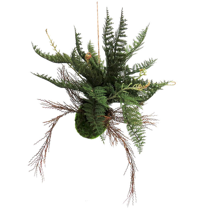 Fern Ball - Bring Nature Indoors!
Introducing the Fern Ball, a stunning artificial plant that brings a touch of nature to your home!
Dense mossy-green ball with numerous roots and branches in various stages of development
Unique and realistic design that adds natural beauty to any interior
Perfect for indoor decor, offices, or as a thoughtful gift
Benefits:
Low maintenance, no watering or pruning required
Adds a touch of natural beauty to any room
Trendy and stylish, staying forever in style
