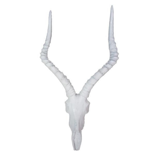 IMPALA Resin Cement Head
Majestic Decorative Piece
Add a touch of wildlife elegance to your space with this stunning IMPALA Resin Cement Head. Crafted with precision and detail, this piece features a beautiful white finish and impressive dimensions.