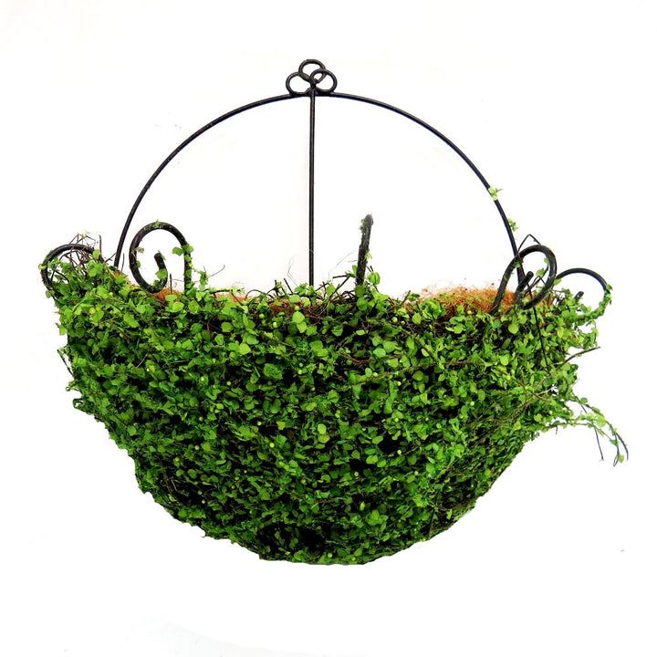 Folly Basket - Bring the Outdoors In
Elevate your home décor with our stunning Folly Basket, expertly handcrafted with natural plant coverage that adds a touch of organic sophistication to any room.
A Masterpiece of Nature and Craftsmanship:
Unique Exterior: Beautifully woven plant coverage creates a one-of-a-kind, earthy aesthetic that's sure to impress.
High-Quality Construction: Built to last with premium materials, ensuring durability and long-lasting beauty.
Perfect Planter: Ideal for showcasing your f