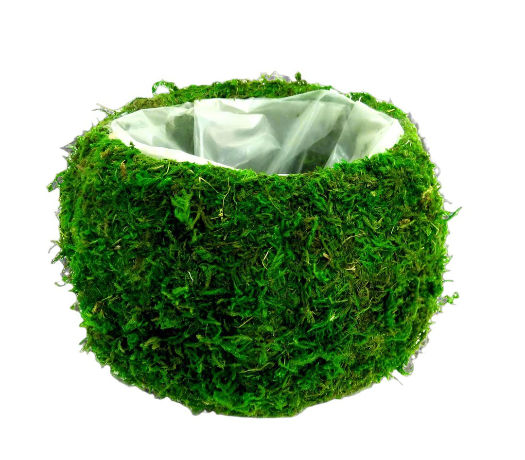 Columbine Ballvase - A Unique Touch for Your Interiors!
Elevate your space with the stylish and versatile Columbine Ballvase!
Waterproof and perfect for indoor use
Rotund shape creates a stunning centerpiece for any room
Generous dimensions: 20cm x 20cm x 14cm
Plenty of space to fill with woven moss or other decorative elements
Add a Touch of Elegance!
Perfect for living rooms, dining rooms, or offices
Unique and stylish design that adds a personal touch
Easy to care for and maintain
Get Yours Today!
Size: 