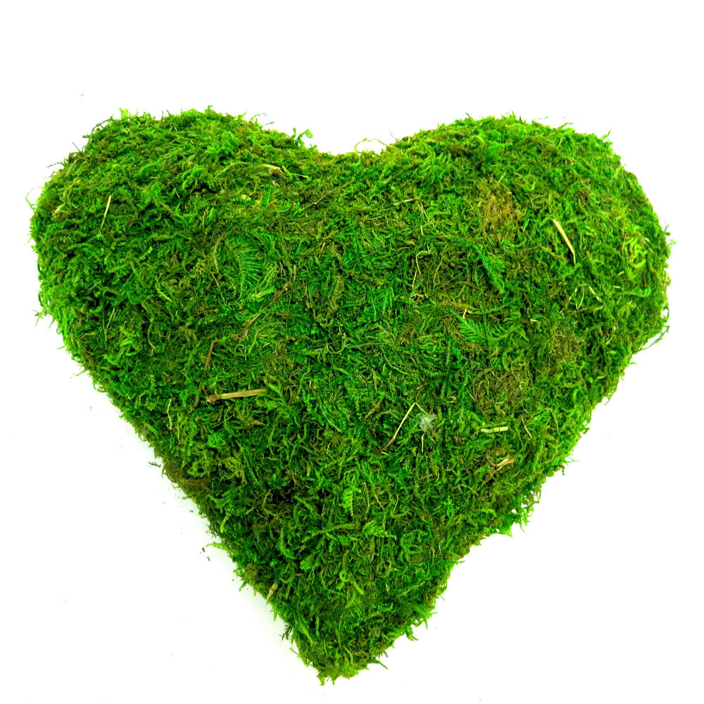 Heartthrob Moss Heart Decoration
Show your love and appreciation with the Heartthrob, a beautiful handmade moss heart decoration. This charming piece measures 25cm x 25cm x 8cm and features a lush, full shape covered in double-sided moss.