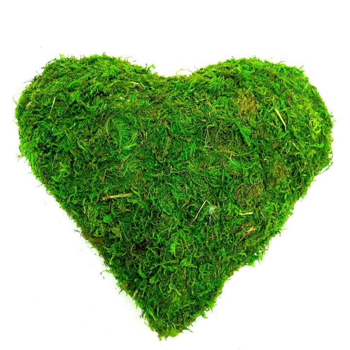 Heartthrob Moss Heart Decoration
Show your love and appreciation with the Heartthrob, a beautiful handmade moss heart decoration. This charming piece measures 25cm x 25cm x 8cm and features a lush, full shape covered in double-sided moss.
