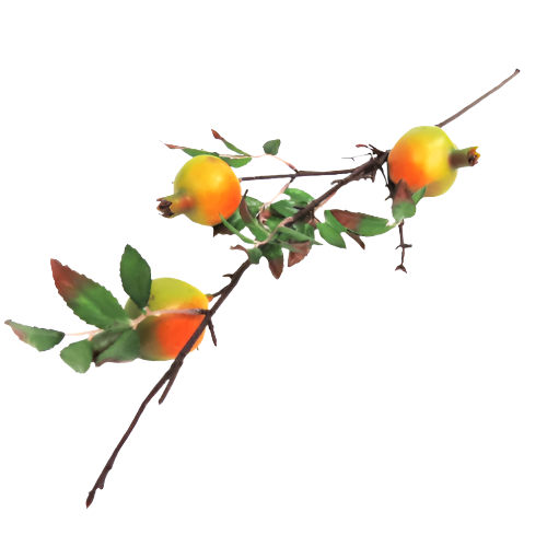 Pomegranate spray ripening