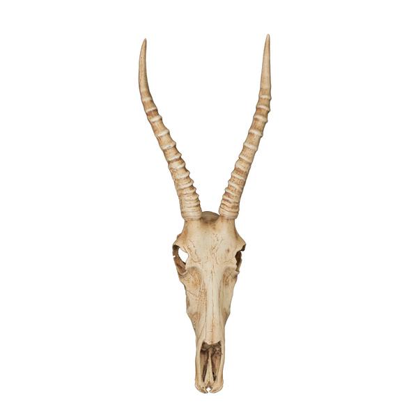 Resin Cement Nyala Skull Wall Hanging
Wildlife Elegance for Your Walls
Add a touch of wild sophistication to your space with this stunning Resin Cement Nyala Skull wall hanging. Featuring majestic horns and a rich Wild Honey colour, this decorative piece is perfect for making a statement.