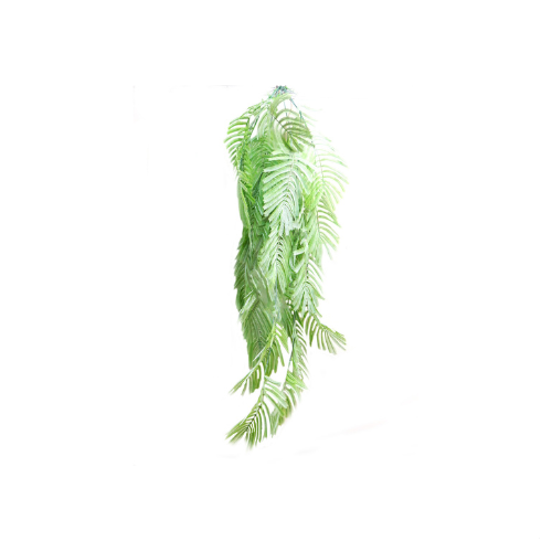 Palmfern Atlantis
Transform your space with the breathtaking Palmfern Atlantis!
Key Features:
Cascading Fern: 6 main stems with numerous side stems create a lush, draping effect
Realistic Leaves: Elongated, giant fern leaves mimic the beauty of nature
Durable Construction: Extremely well-constructed stems ensure a long-lasting display
Exotic Rainforest Look: Adds a touch of tropical elegance to any room